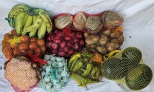 Durable Packaging Net Roll