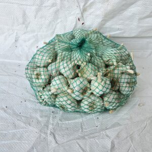 Garlic Packaging Net Roll