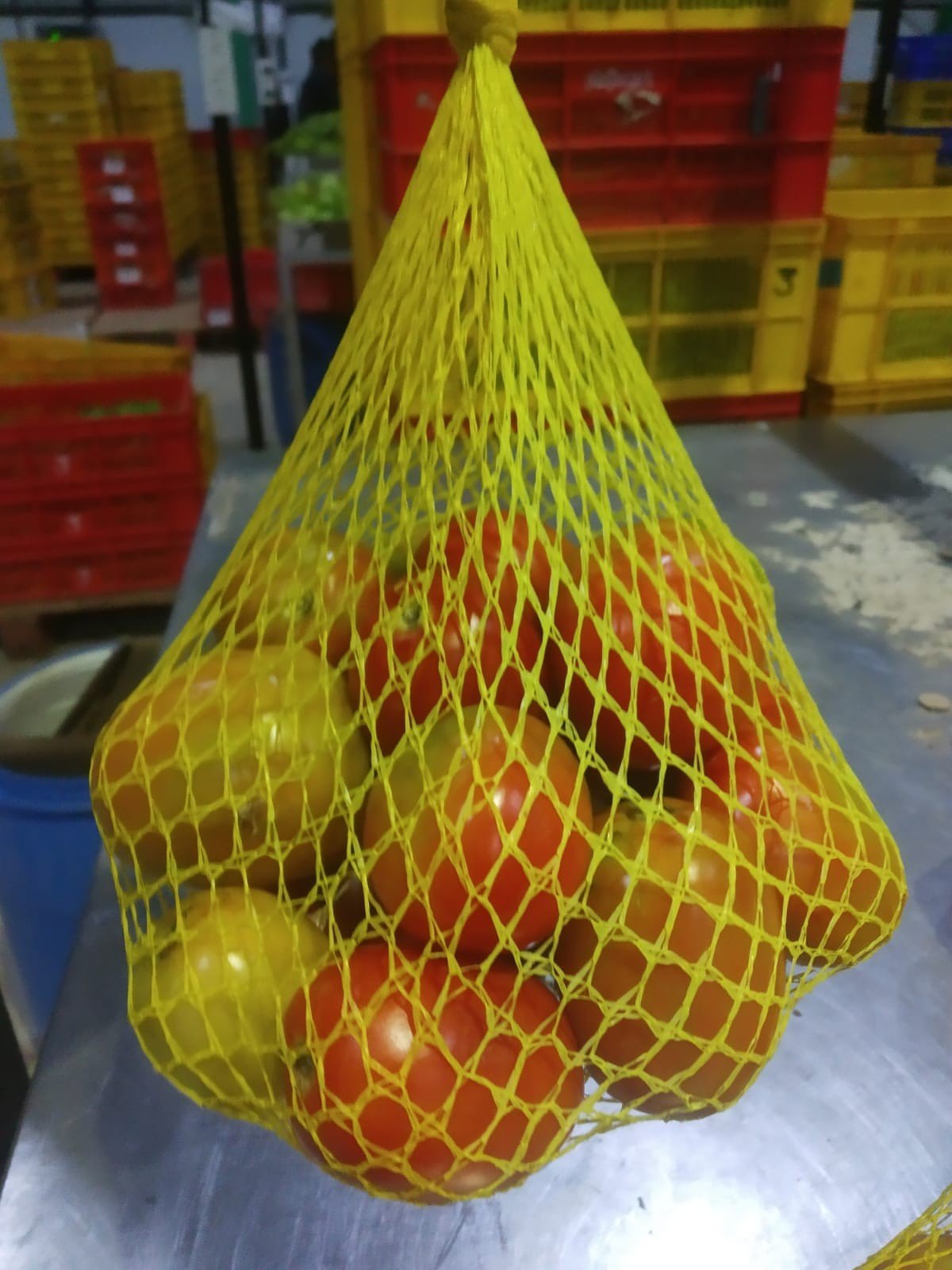 Plastic Mesh Net Bag